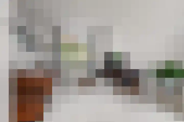 Hertogstraat 5 Velp thumbnail 20