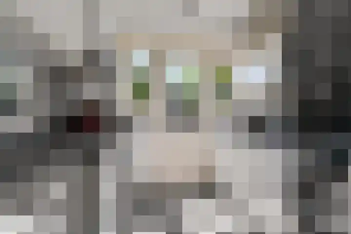 Hertogstraat 5 Velp thumbnail 22