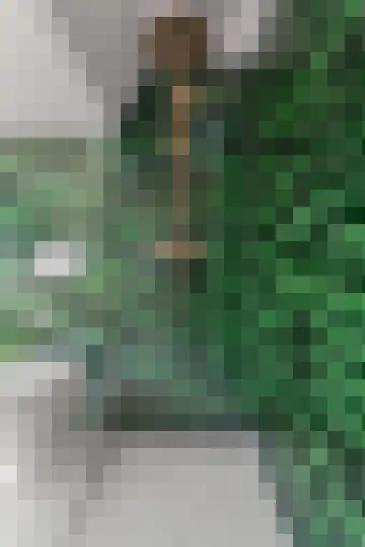 Hertogstraat 5 Velp thumbnail 34