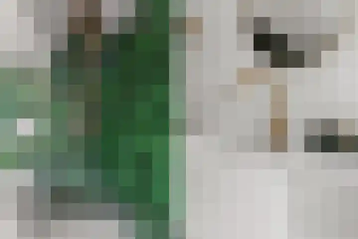 Hertogstraat 5 Velp thumbnail 35