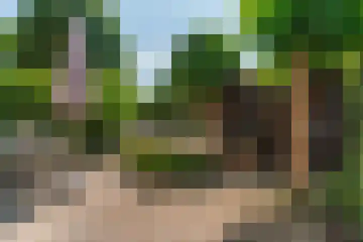 Hertogstraat 5 Velp thumbnail 41
