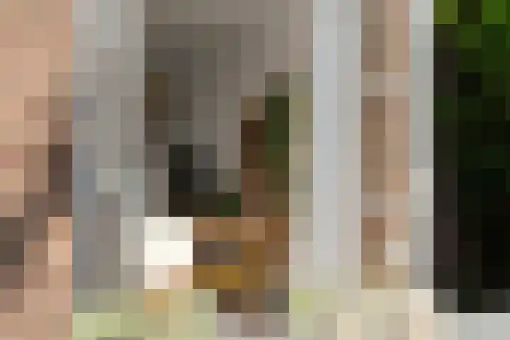 Hertogstraat 5 Velp thumbnail 45