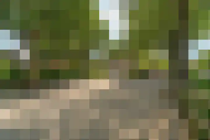 Hertogstraat 5 Velp thumbnail 47