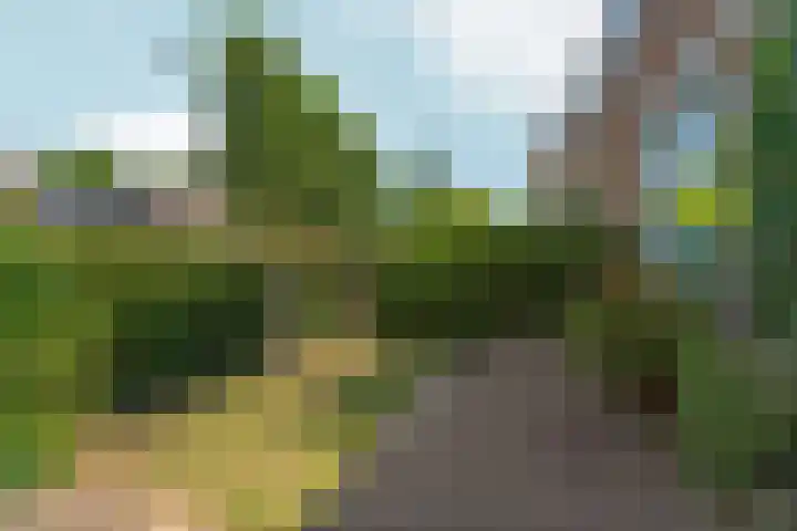 Hertogstraat 5 Velp thumbnail 7