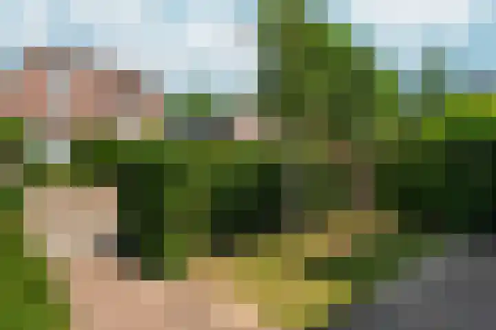Hertogstraat 5 Velp thumbnail 8