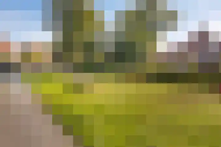 Hertogstraat 5 Velp thumbnail 9