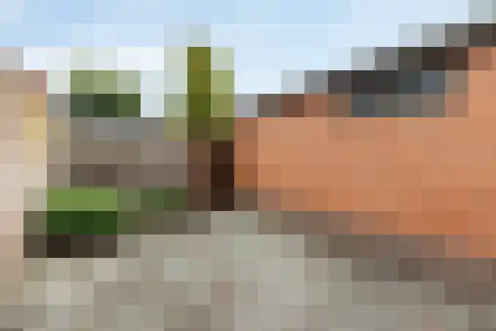 Hertogstraat 64 Brunssum thumbnail 22
