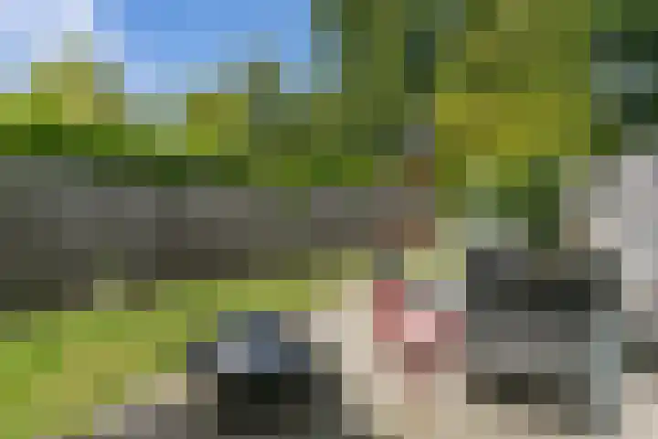 Hertogstraat 8 Brunssum thumbnail 19