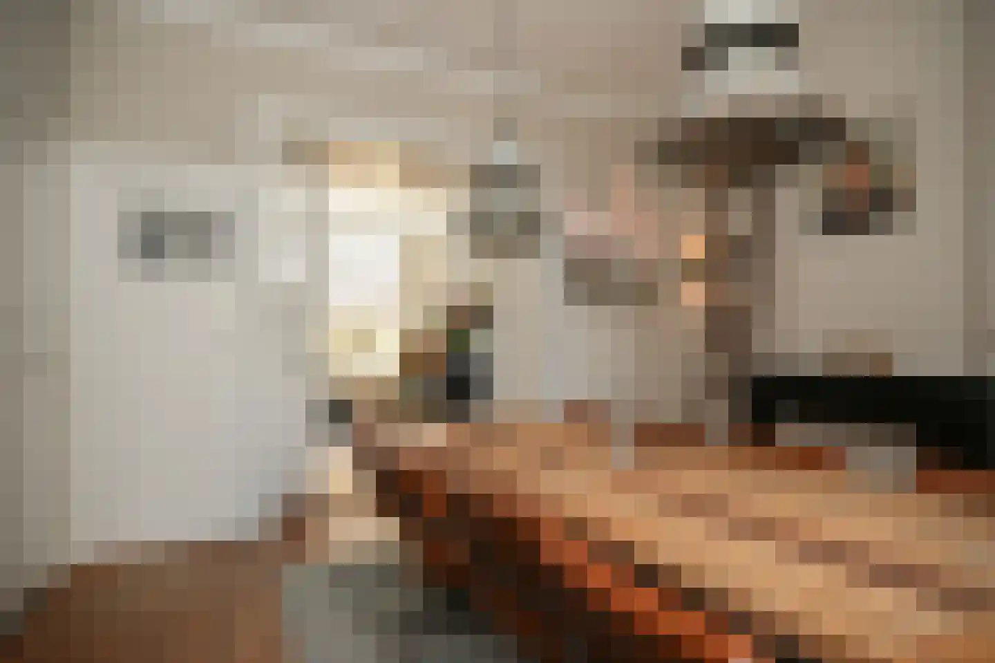 Hertogstraat 9 's-Hertogenbosch thumbnail 12