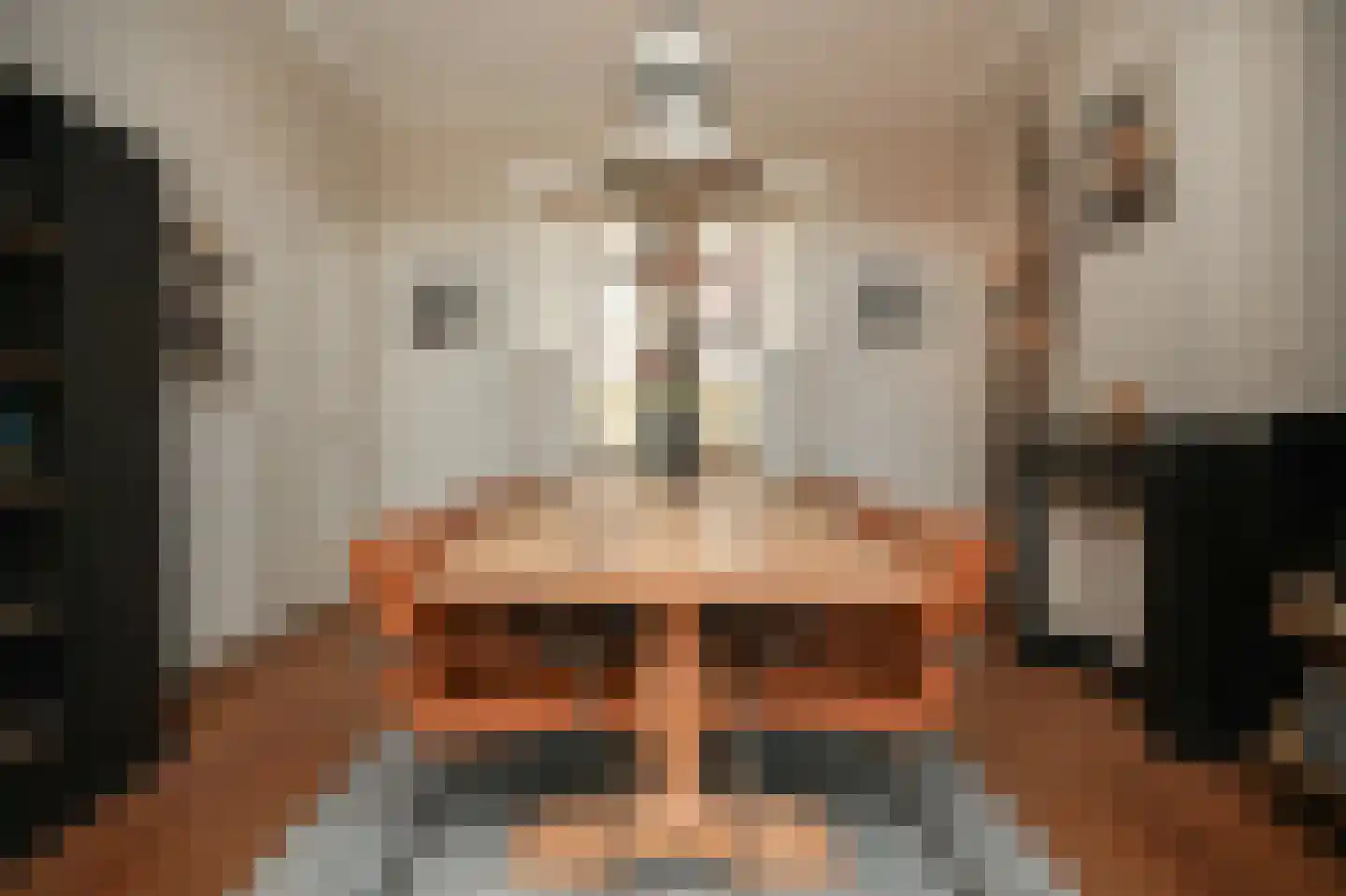 Hertogstraat 9 's-Hertogenbosch thumbnail 13