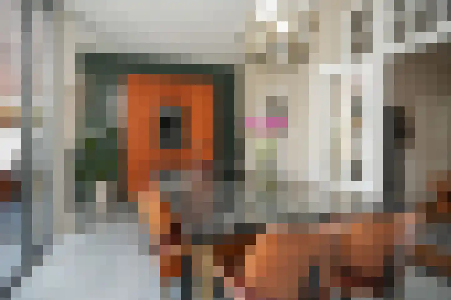 Hertogstraat 9 's-Hertogenbosch thumbnail 16