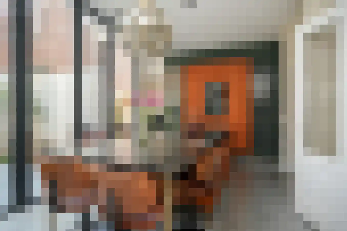 Hertogstraat 9 's-Hertogenbosch thumbnail 17