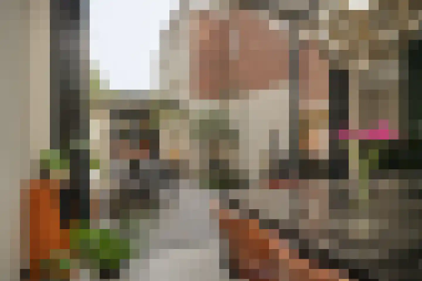 Hertogstraat 9 's-Hertogenbosch thumbnail 18