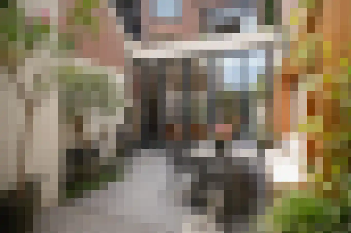 Hertogstraat 9 's-Hertogenbosch thumbnail 31
