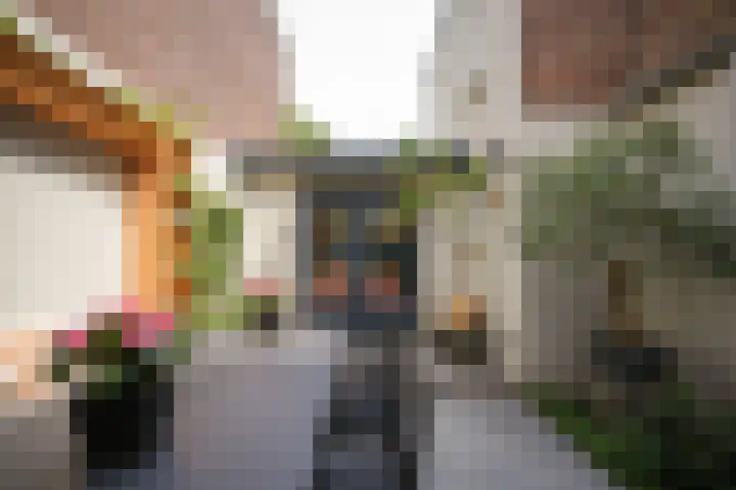 Hertogstraat 9 's-Hertogenbosch thumbnail 33