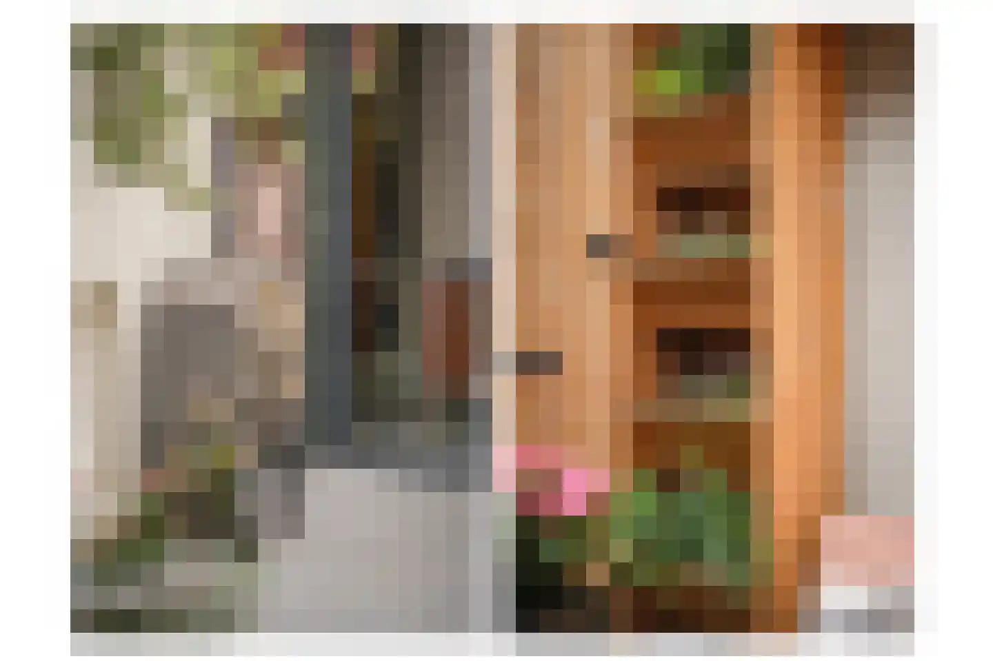 Hertogstraat 9 's-Hertogenbosch thumbnail 35