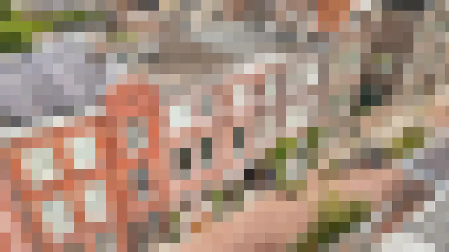 Hertogstraat 9 's-Hertogenbosch thumbnail 44