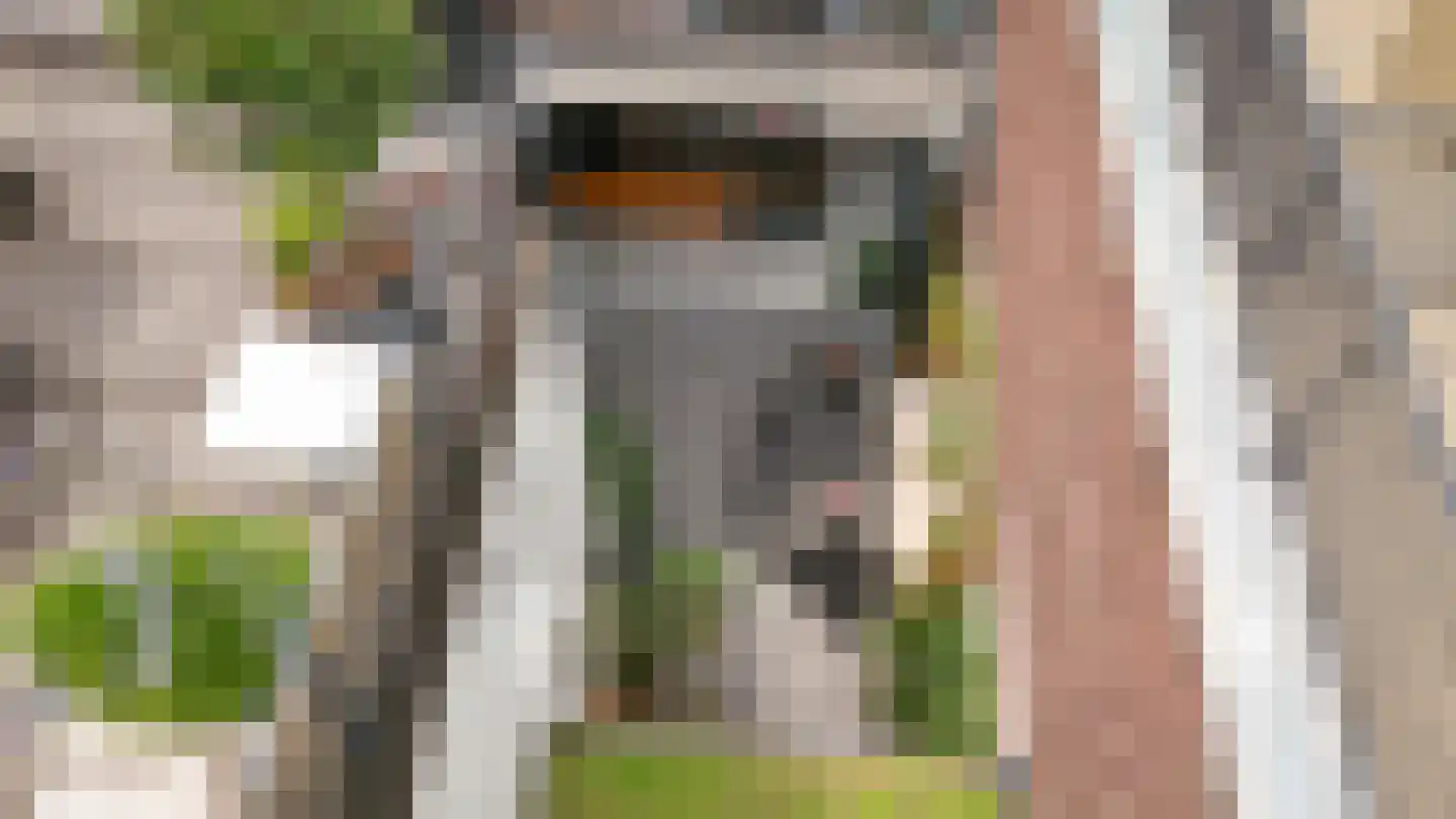 Hertogstraat 9 's-Hertogenbosch thumbnail 45