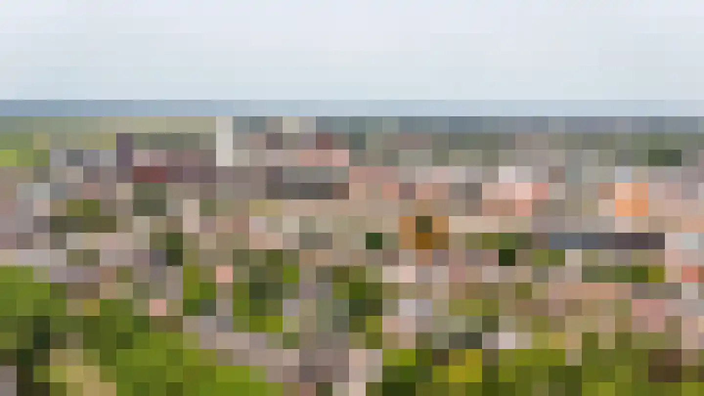 Hertogstraat 9 's-Hertogenbosch thumbnail 49