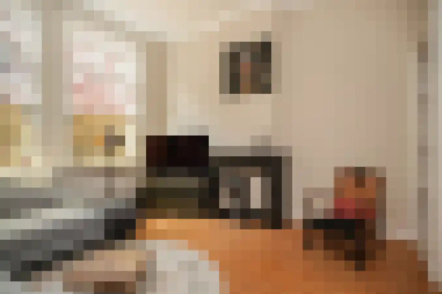 Hertogstraat 9 's-Hertogenbosch thumbnail 7