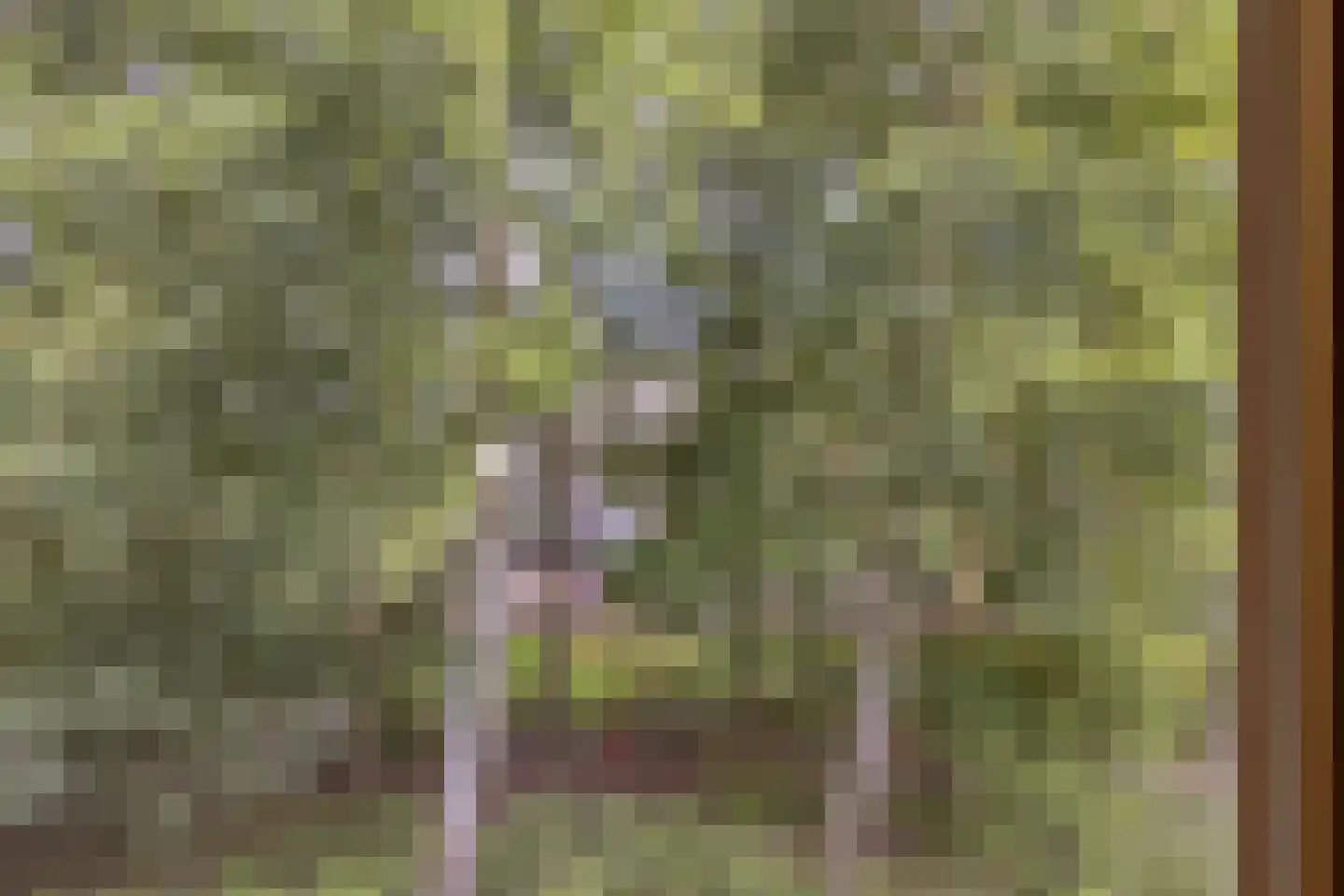 Hertogsveld 6 Helmond thumbnail 30