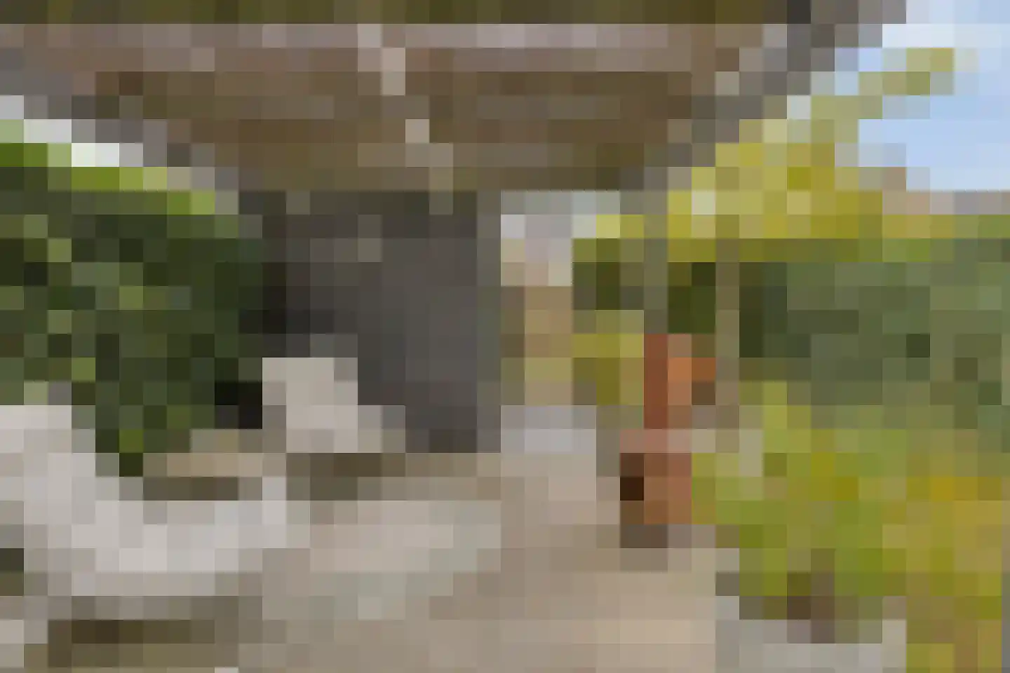 Hertogsveld 6 Helmond thumbnail 53