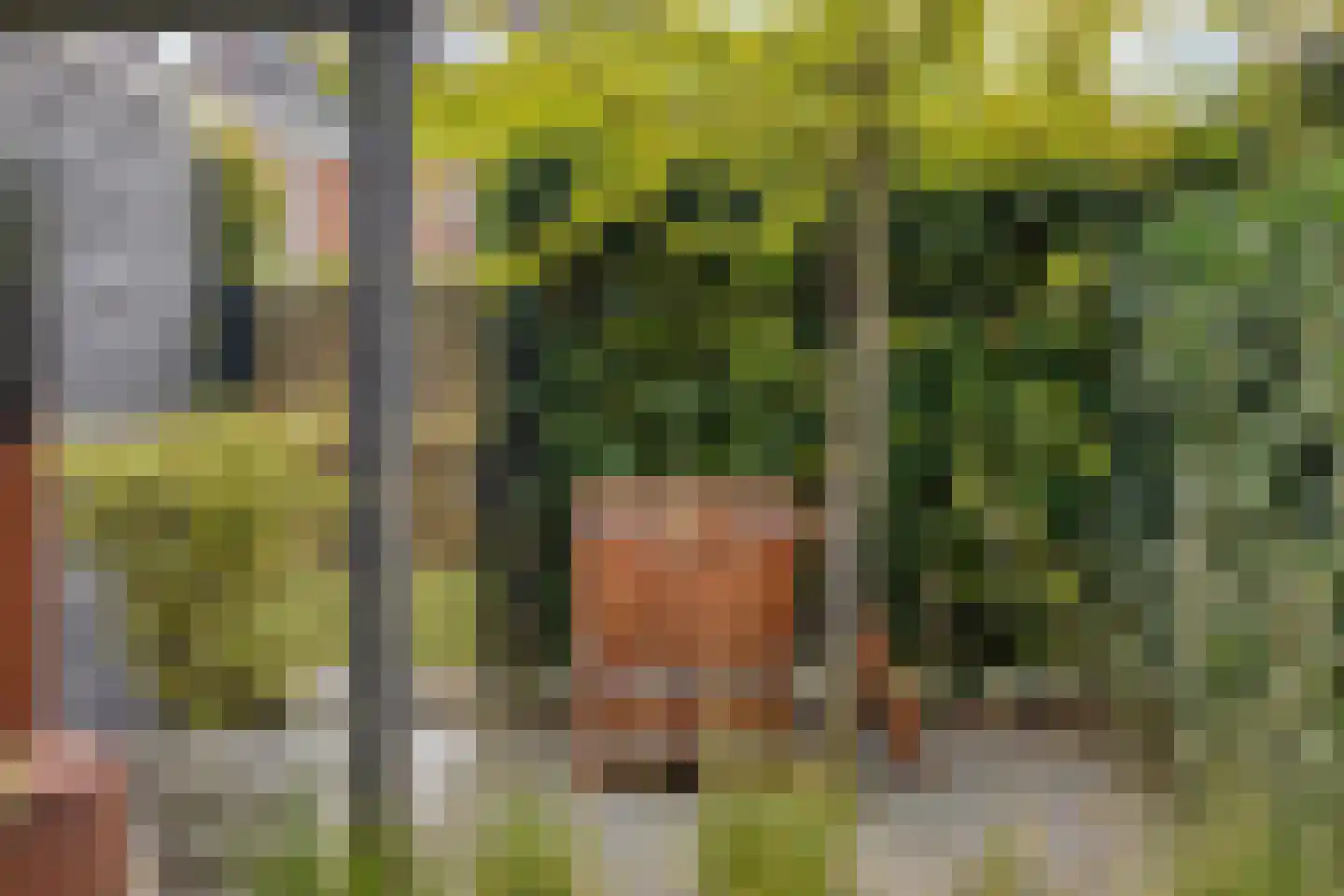 Hertogsveld 6 Helmond thumbnail 54