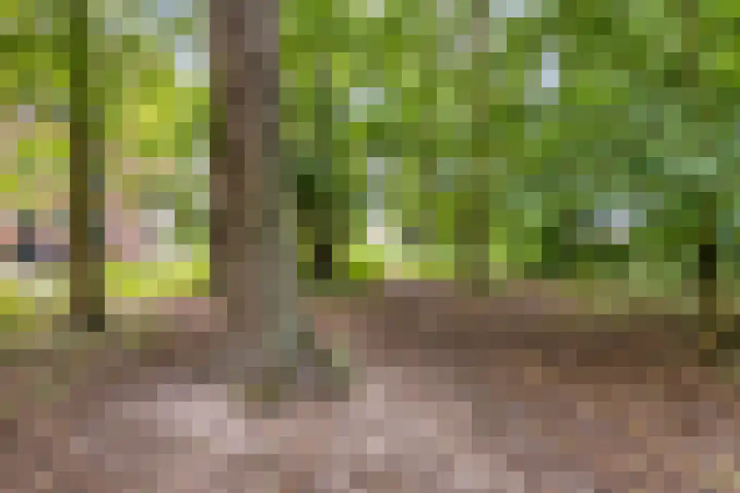 Hertogsveld 6 Helmond thumbnail 66