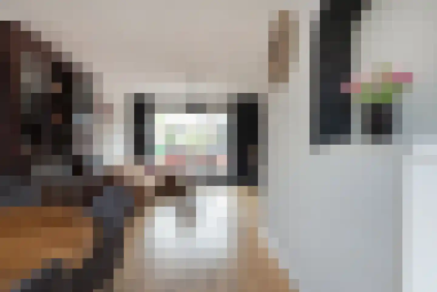 Hertogsweg 19 Rijpwetering thumbnail 10