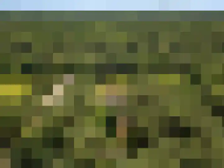 Hertogweg 11 A Bennekom thumbnail 10