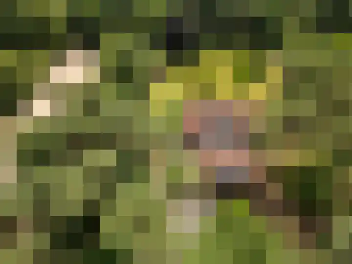 Hertogweg 11 A Bennekom thumbnail 12
