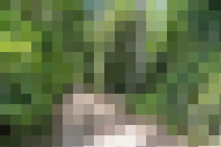 Hertogweg 11 A Bennekom thumbnail 15