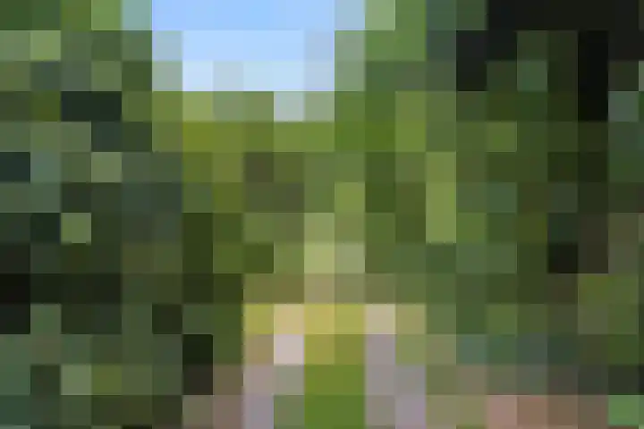 Hertogweg 11 A Bennekom thumbnail 17