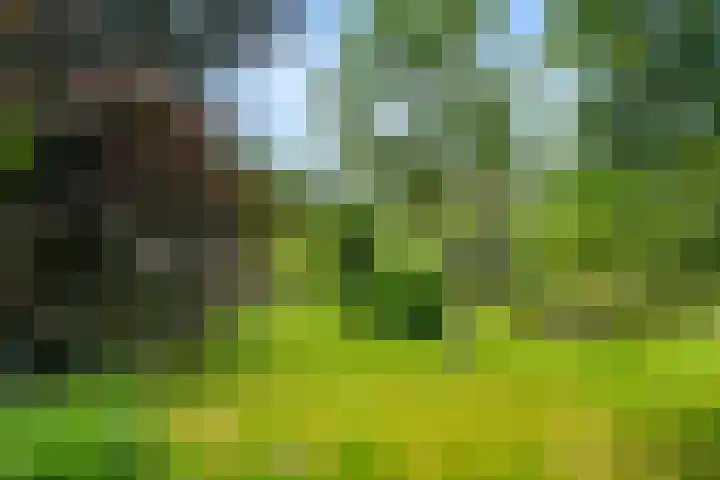 Hertogweg 11 A Bennekom thumbnail 18