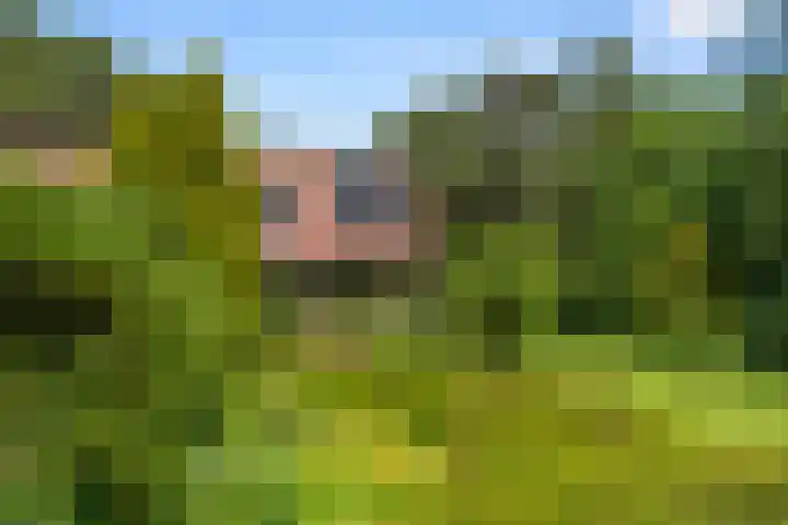 Hertogweg 11 A Bennekom thumbnail 21