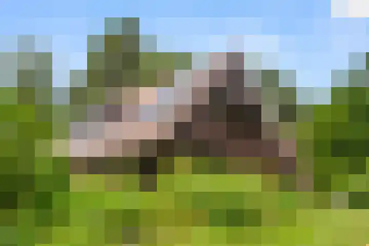 Hertogweg 11 A Bennekom thumbnail 24
