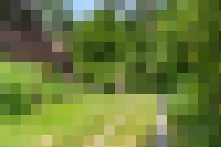 Hertogweg 11 A Bennekom thumbnail 25