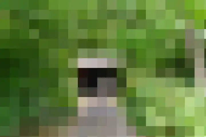 Hertogweg 11 A Bennekom thumbnail 27