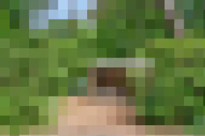 Hertogweg 11 A Bennekom thumbnail 28