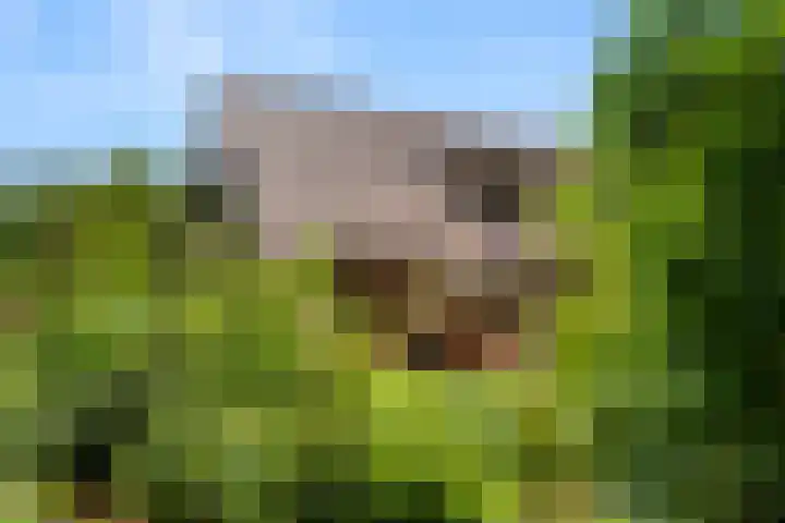Hertogweg 11 A Bennekom thumbnail 31