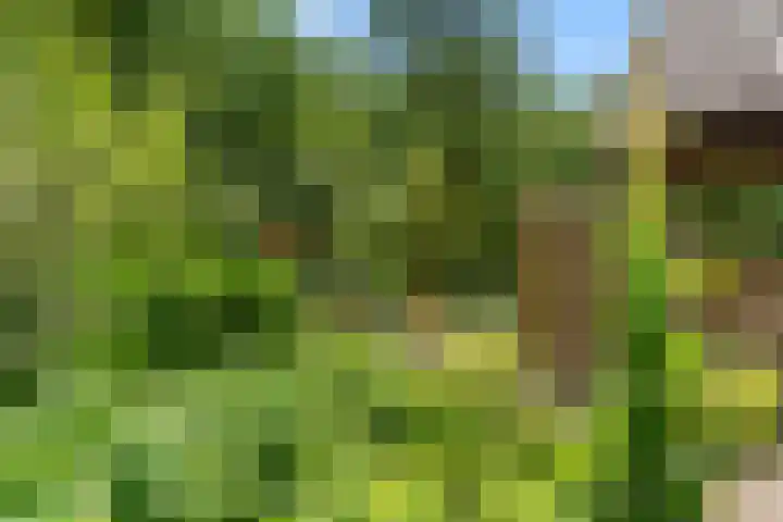 Hertogweg 11 A Bennekom thumbnail 32