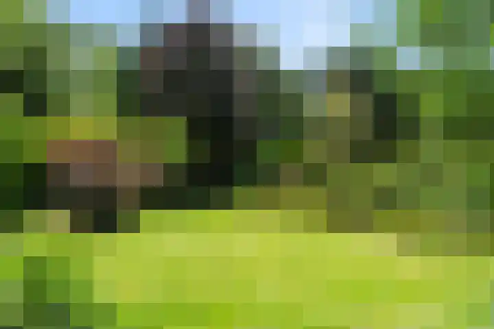 Hertogweg 11 A Bennekom thumbnail 33