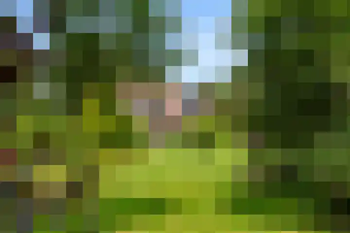 Hertogweg 11 A Bennekom thumbnail 4