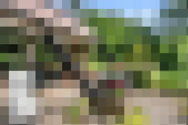 Hertogweg 11 A Bennekom thumbnail 44