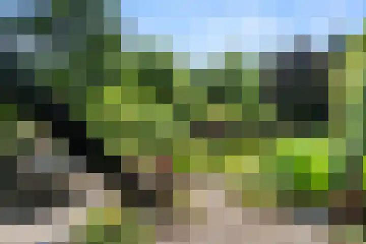 Hertogweg 11 A Bennekom thumbnail 45