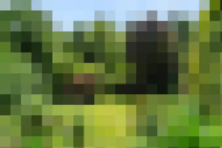 Hertogweg 11 A Bennekom thumbnail 46