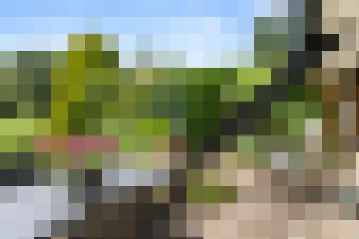 Hertogweg 11 A Bennekom thumbnail 47