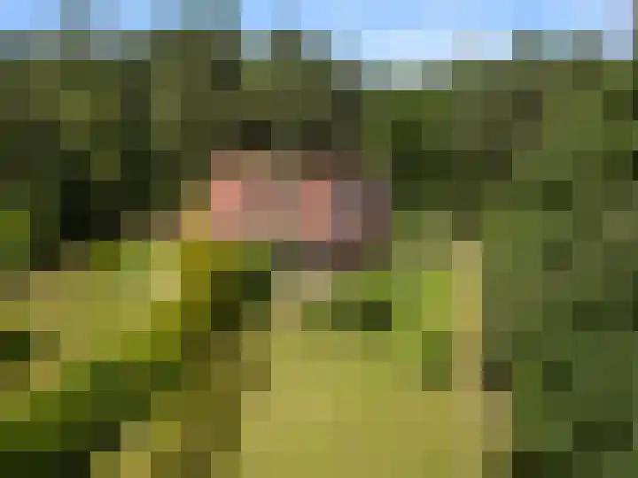 Hertogweg 11 A Bennekom thumbnail 5