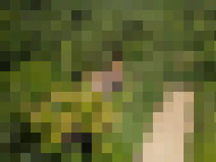 Hertogweg 11 A Bennekom thumbnail 8