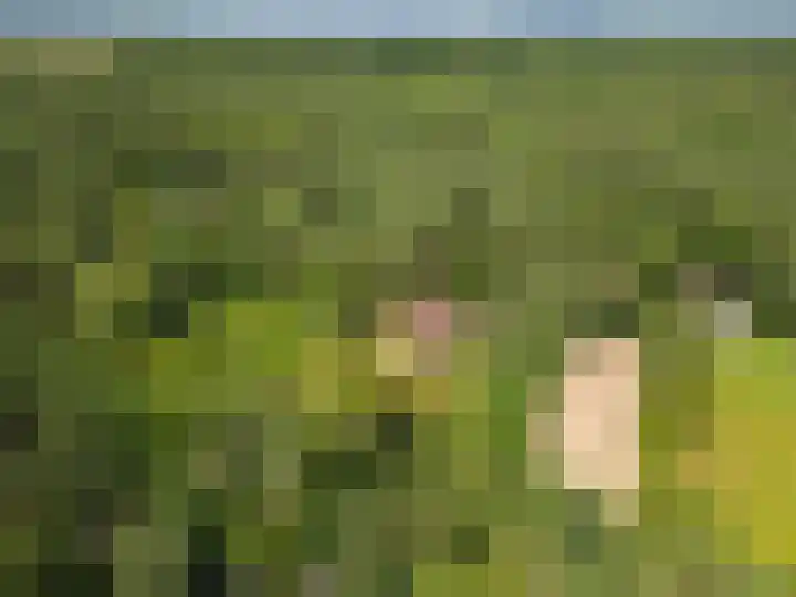 Hertogweg 11 A Bennekom thumbnail 9